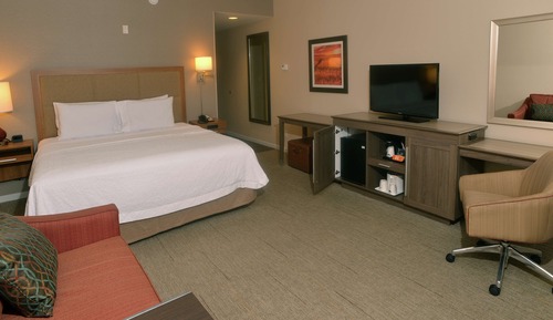 Room, 1 King Bed with Sofa bed, Refrigerator