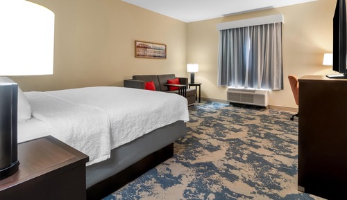 Room, 1 King Bed, Non Smoking, Refrigerator