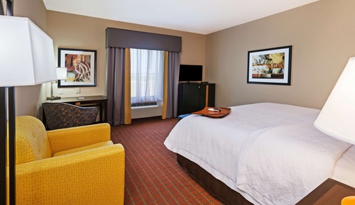 King, Room, 1 King Bed, Non Smoking, Refrigerator