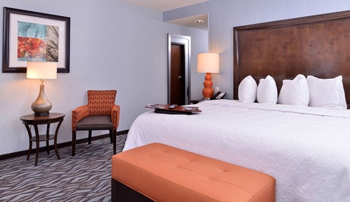 Room, 1 King Bed, Accessible