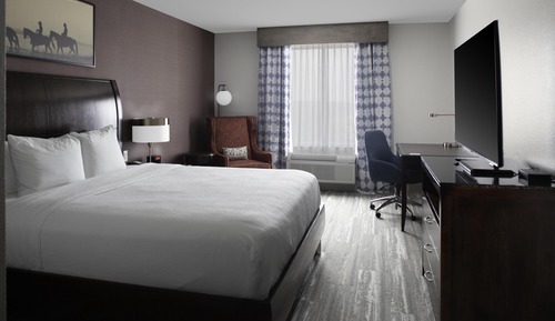 Room, 1 King Bed