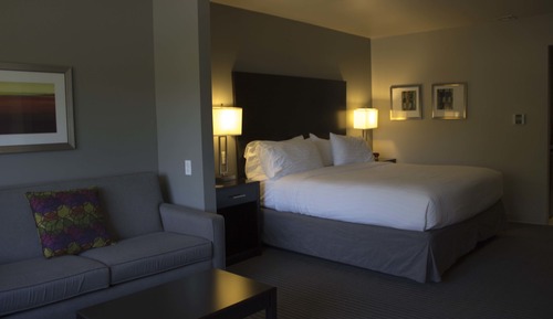 Suite, 1 King Bed, Accessible (Communications, Accessible Tub)