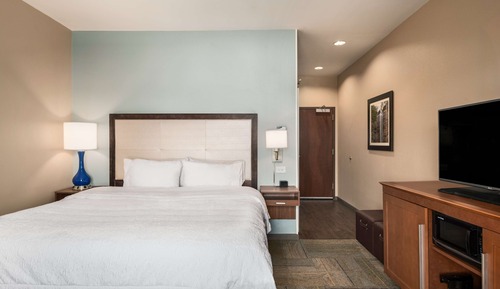 Room, 1 King Bed, Accessible (Mobility & Hearing, Roll-in Shower)