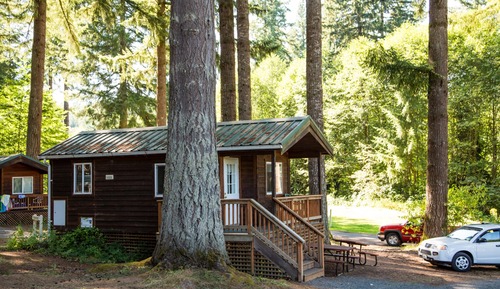 Cabin, Kitchenette (Linens Not Included, Pets Allowed)