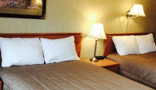 Family Room, 2 double beds