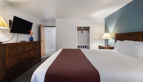 Premier Suite, 1 King Bed with Sofa bed