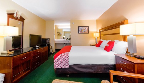 Room, 1 King Bed