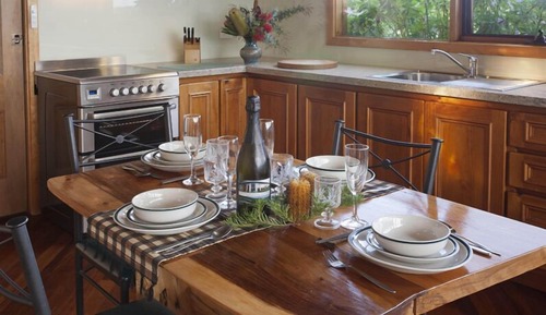 The Boomerang: Tree Frog