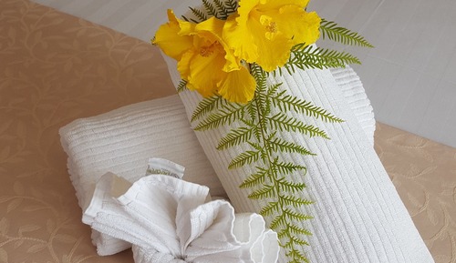 Basic Studio, 1 King Bed, Non Smoking, Patio