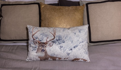 Spa Chalet 1 Bedroom with Queen bed + (2nd Loft Bedroom + Kitchen)