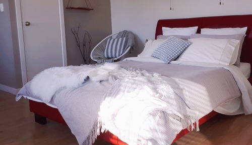 Romantic Studio, Kitchenette (Studio 1)