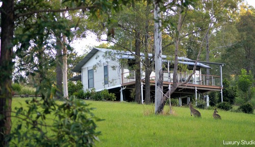 Luxury Studio, Non Smoking, Kitchen