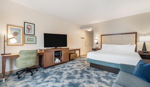 Room, 1 King Bed with Sofa bed, Accessible