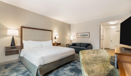 Room, 1 King Bed, Accessible, Non Smoking