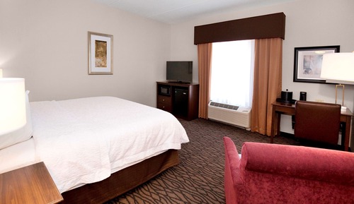 Room, 1 King Bed, Accessible