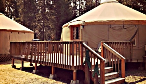 Room (Yurt, Pets OK, Linens Available)