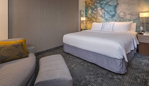 Room, 1 King Bed (Mobility/Hearing Access, Roll-In Shwr)