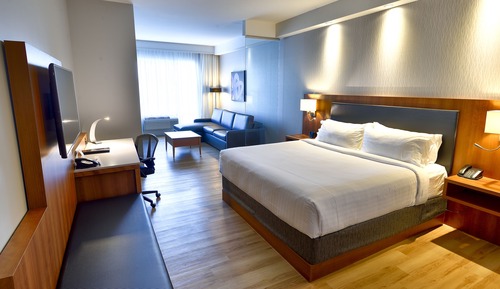 Suite, 1 King Bed with Sofa bed