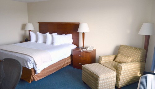 Standard Room, 1 King Bed, Non Smoking, Partial Ocean View