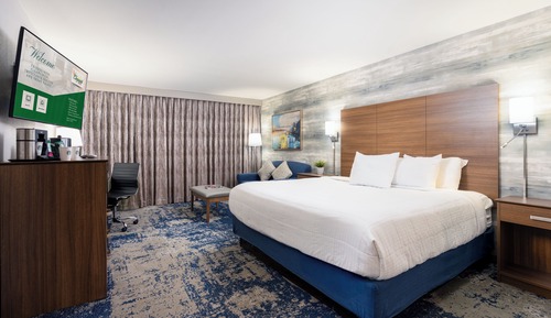 Premium Room, 1 King Bed, Accessible