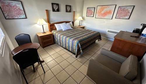 Room, 1 King Bed (Pet Friendly)