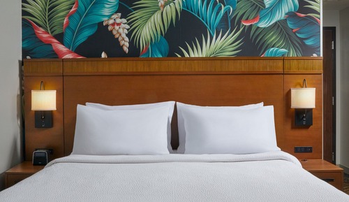 Room, 1 King Bed with Sofa bed