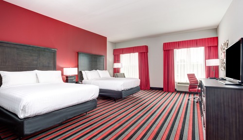 Suite, 1 King Bed with Sofa bed