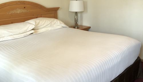 Room #3 - King Suite with Forest View (Ground Floor)