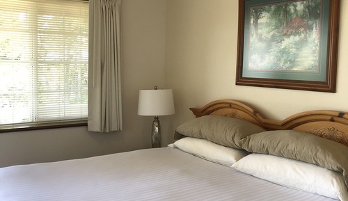 Room #10 - Deluxe King Suite with Partial River View (2nd Floor)