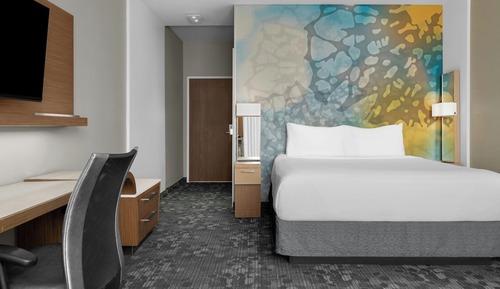 Room, 1 King Bed with Sofa bed