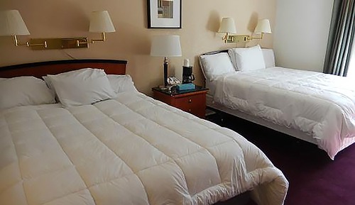 Executive Single Room, 2 Queen Beds