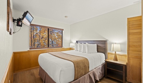Standard Condo, 1 Queen Bed, Fireplace, Lake View