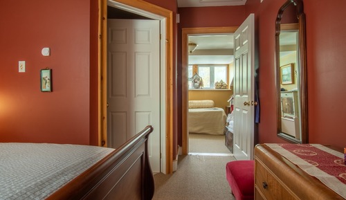 Luxury Room, 1 King Bed (Safari Room)