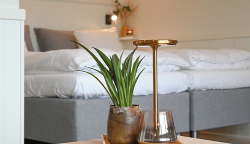 Standard-dobbeltværelse med hund tilladt