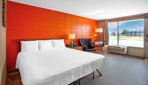 Single Room, 1 King Bed