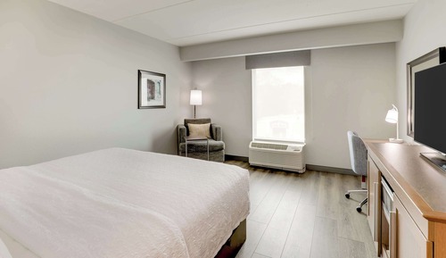 Room, 1 King Bed, Accessible, Non Smoking