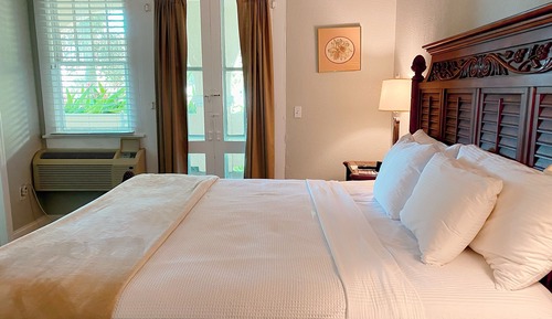 Premier Room, 1 King Bed, Terrace, Garden View