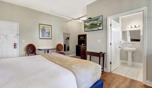 Premier Room, 1 King Bed with Sofa bed, Terrace, Garden View
