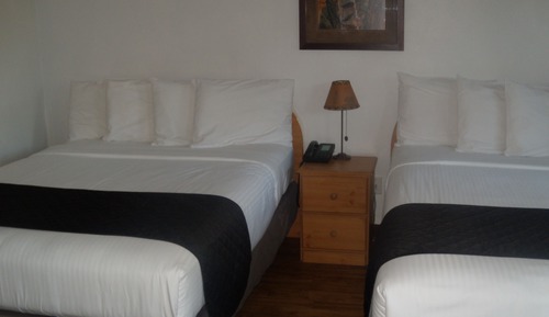 Double Queen Room (Pet Friendly)