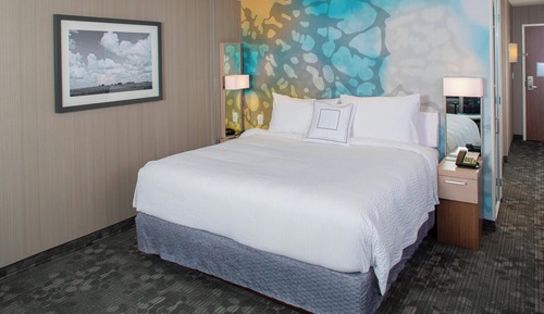 Room, 1 King Bed with Sofa bed, Accessible Bathtub