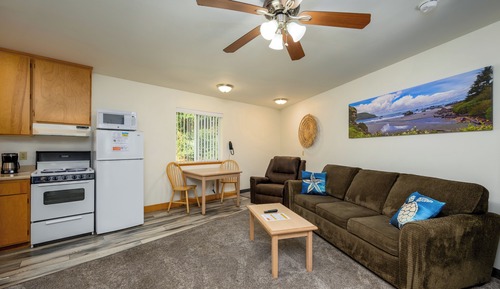 Deluxe Apartment, 1 Queen Bed with Sofa bed, Kitchen