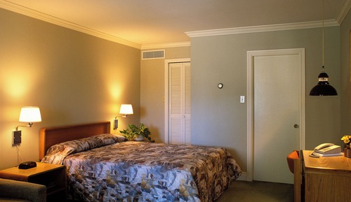 Economy Room, 1 Double Bed