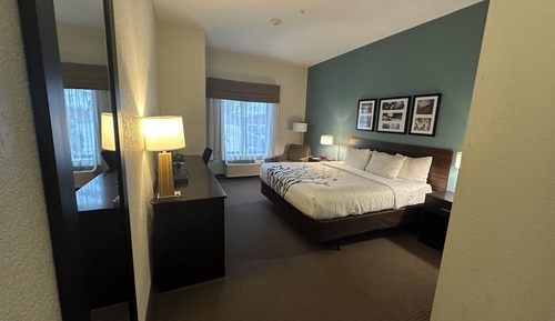 Room, 1 King Bed, Accessible, Non Smoking