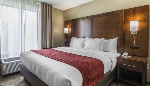 Suite, 1 King Bed with Sofa bed, Accessible, Non Smoking (Roll-In Shower)