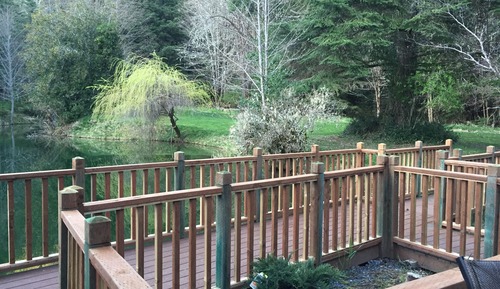 Pond Studio Suite with 1 King Bed and 1 Queen Sofa Bed, Room #16 (Pet Friendly)