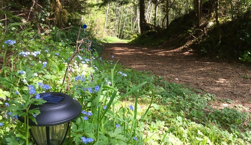 Sunrise Yurt (Shared Shower, Pet Friendly)