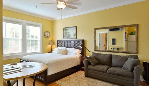 Deluxe Studio Room 10, 1 King Bed with Sofa bed, Kitchen