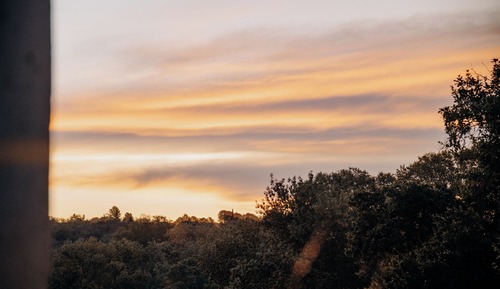 Suite Deluxe Genesis