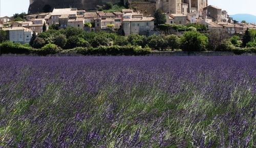Basic Room, 1 Double Bed, City View