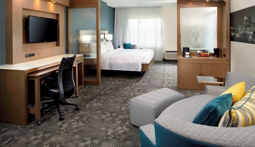 Executive Suite, 1 King Bed with Sofa bed